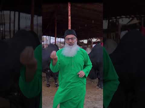 #ChhipaSahab #Chhipa #MrChhipa #SocialWorker #Qurbani