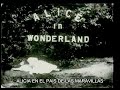 Alicia En El País De Las Maravillas Película De 1951