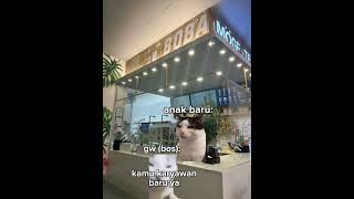 Download lagu POV:punya karyawan baru tapi otaknya gk ada #kucingmeme #xyzbca #4u #fyp mp3 Download lagu POV:punya karyawan baru tapi otaknya gk ada #kucingmeme #xyzbca #4u #fyp mp3