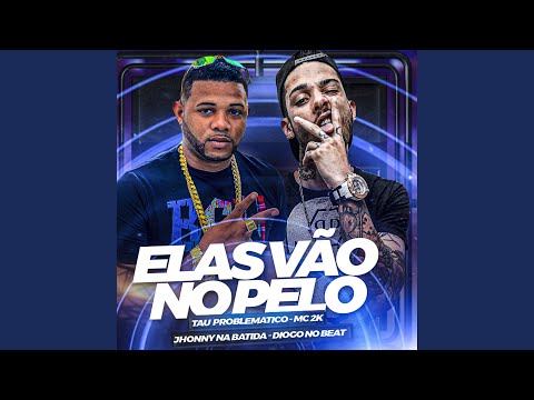 Elas Vão no Pelo (feat. Mc 2k)