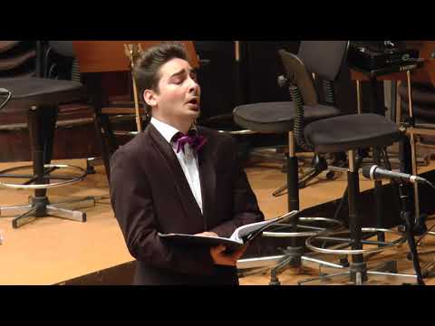 14 Floare Albastră - Vasile Spătărelu