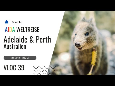 VLOG 39 - Adelaide & Perth, Australien - Weltreise AIDAsol 2024 / 2025