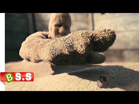 S Man 1st, 2nd & 3rd Parts (Full HD) Explained In Hindi & Urdu