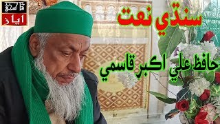 Hafiz Ali Akbar Qasmi sindhi naat  Bhej Mashorian 
