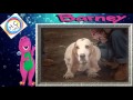 Sing Dance Barney