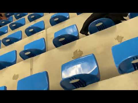 Nolan Huysmans - Sprint final of the Belgian junior championships