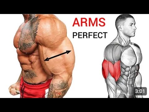 Biceps Workout 💪 Biceps Workout At GYM 🔥 Biceps Exercise At Home 