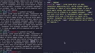 WEB2-Python-5.3.문법-데이터타입-문자열과 변수