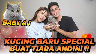 Download lagu ALSHAD AHMAD KASIH HADIAH SPECIAL BUAT TIARA ANDINI mp3 Download lagu ALSHAD AHMAD KASIH HADIAH SPECIAL BUAT TIARA ANDINI mp3