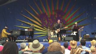 Elvis Costello Flutter and Wow