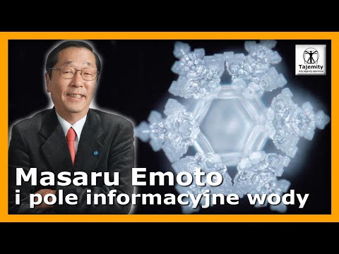 Masaru Emoto and the Water Information Field