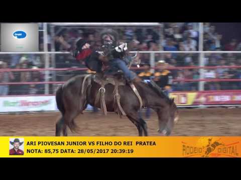ARI PIOVESAN JUNIOR VS FILHO DO REI  PRATEADA [FINAL] - BY RODEIO DIGITAL 28052017203919