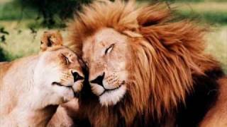 Looking in the eyes of love