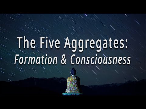 The Five Aggregates: Formation & Consciousness by Joseph Goldstein