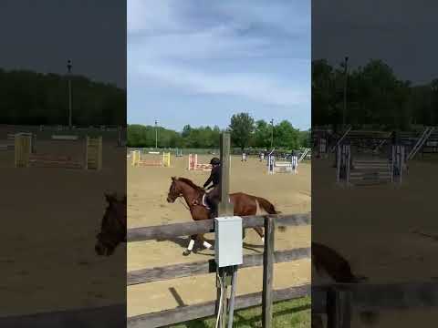 Quimby Flora Lea Jumper Show - 7 May 2023 -Starter Division