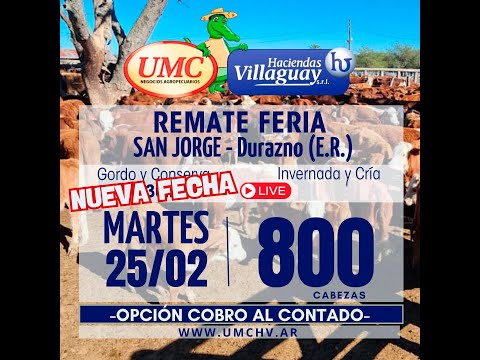 REMATE FERIA  - SAN JORGE - DURAZNO  (E.R.) 800 CABEZAS