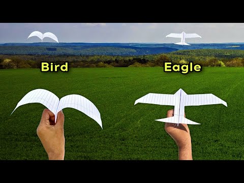 2 best flying bird plane, 2 longest flying bird, paper eagle flying bird, notebook flying bird