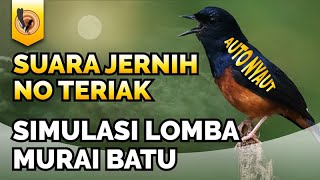 Download lagu 1 Jam Nonstop TANPA TERIAKAN, SIMULASI LOMBA MURAI BATU GACOR BANYAK ISIAN MEWAH mp3