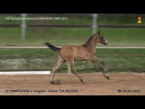 KN 12: HF v. Vingino x Classe