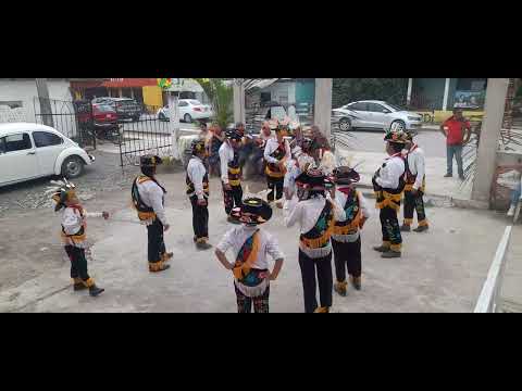 Danza de los negritos de la costa en comalteco Espinal Veracruz