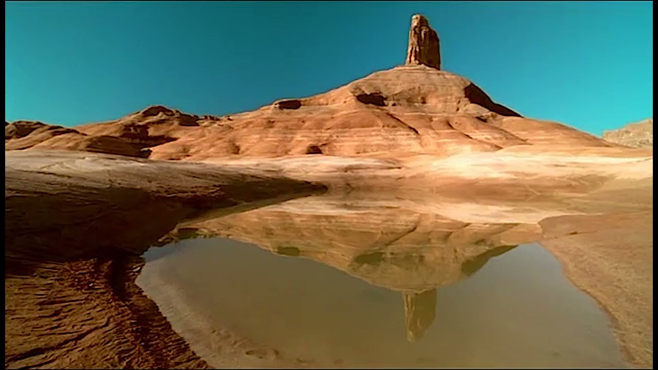 Walking With Monsters