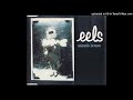 Eels - Manchester Girl (BBC Radio 1 version)