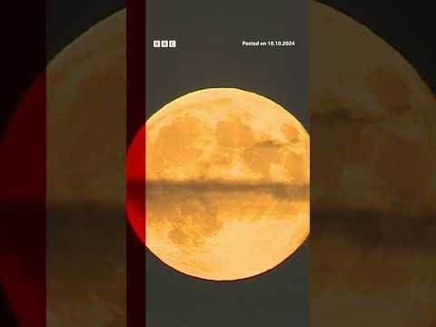 Video | The Hunter's Moon was seen around the world. #Supermoon #BBCNews