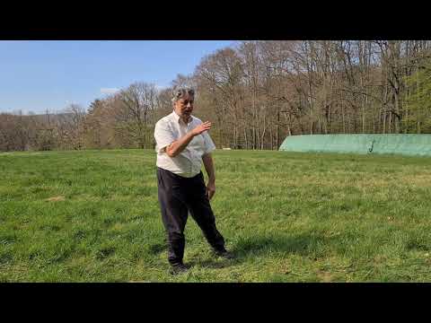 Tai Chi Wu-Stil Kurzform 12 - Übergangsbewegung neue Richtung