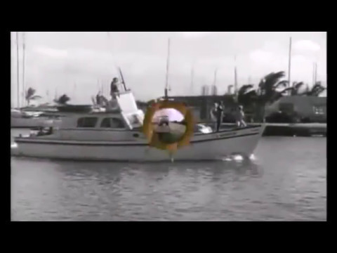 STAIRWAY TO GILLIGANS ISLAND - LITTLE ROGER AND THE GOOSEBUMPS