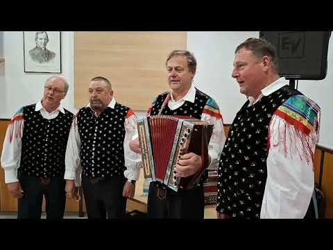 Prijatelji Jožeta Bohorča - Veseli samec (v živo)