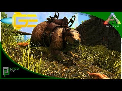 Ark: Survival Evolved GES4 - E6 - Castoroides - Beaver Taming - Leveling with Wild Flowers!