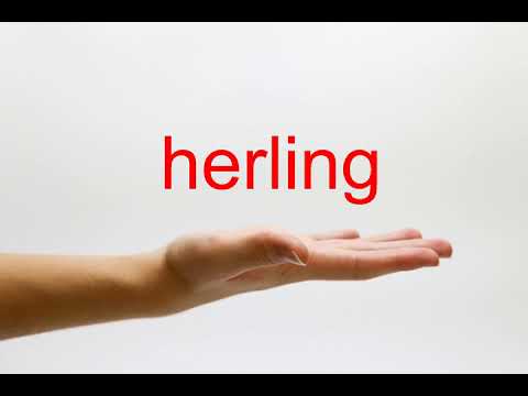 How to Pronounce herling - American English