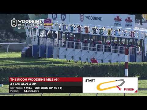 2021 Woodbine Mile - Winner Town Cruise