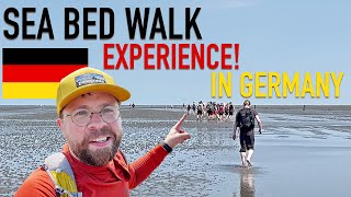 Where You Can Walk on the Sea Floor in Germany: Path to Neuwerk Island from Cuxhaven at Low Tide