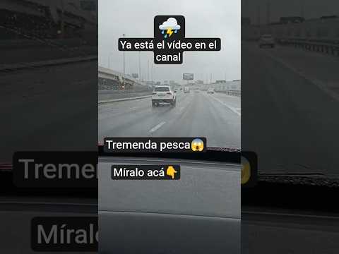 pesca increíble en villa paranacito entre ríos #pesca #fishing #lineadepesca #entrerios #pejerrey