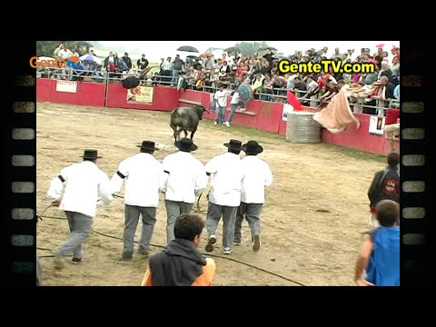 Gente Memoria com clips do Primeiro Picnic e Festa Brava de Gente da Nossa - July26_25 - #1