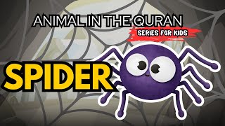 Spider in Islam for Kids | Animal Series (11:28)