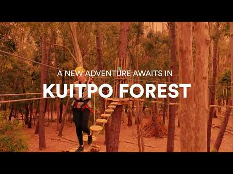 TreeClimb Kuitpo Forest
