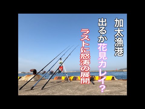 テロップ入れをメインに動画編集いたします イメージ1
