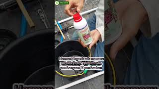 Download lagu Cara Pakai Poc Nasa Dan Hormonik - PUPUK BUAH ID #pupukbuah #pocnasa #hormoniknasa #pupukorganik mp3