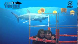 DIA 2 Expo Tiburon51