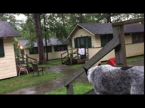 Lotta rain this year..