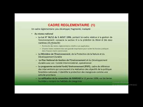 MSProadmap / CAMEROUN - Présentation de Sylvie Essiane Owono