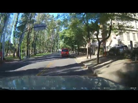 12. 🇦🇷 Drive from Santa Rosa to Bahia Blanca - Full