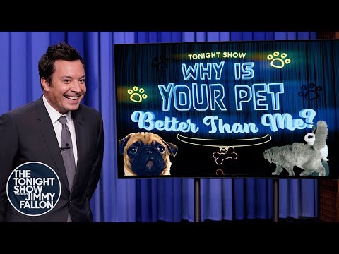 Why Is Your Pet Better Than Me?: Golfing Cat, Jenga-Playing Dog | The Tonight Show