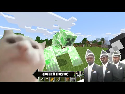 Best of Cat Vibing Coffin Meme Part 2 - Minecraft