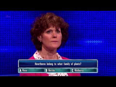 Sarah Gets Her Hawthorns Rose Question Right - The Chase