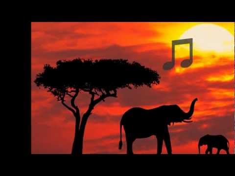 Bajm - rzeka marzen.......Safari dla Gosi :)))))