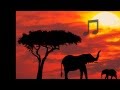 Bajm - rzeka marzen.......Safari dla Gosi 