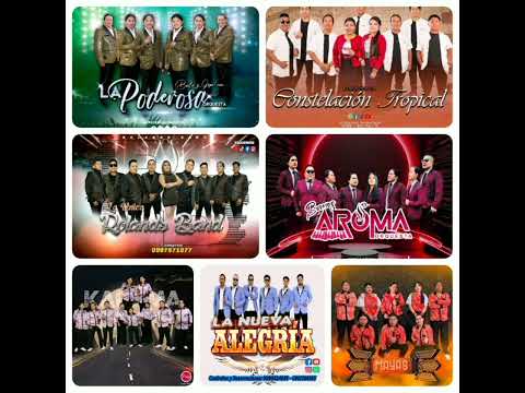 ORQUESTAS MIX DE IMBABURA ful  cumbias en vivo éxitos 2025 🎼🎶🎤🎛️🎧